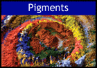 pigments